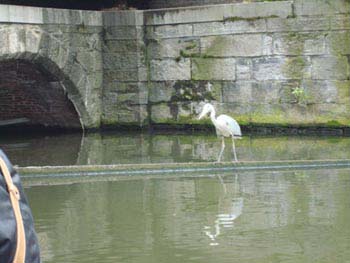 191_france_photo