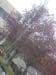 066_france_photo